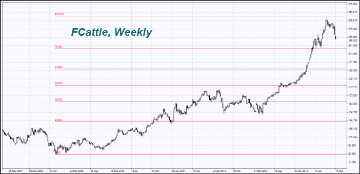 beef futures